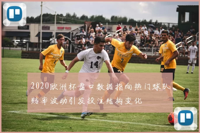 2020欧洲杯盘口数据指向热门球队赔率波动引发投注结构变化