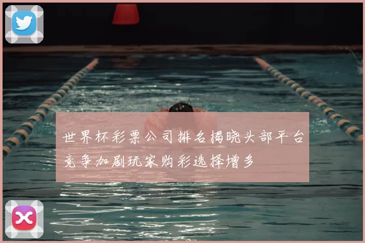 世界杯彩票公司排名揭晓头部平台竞争加剧玩家购彩选择增多