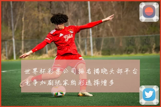 世界杯彩票公司排名揭晓头部平台竞争加剧玩家购彩选择增多